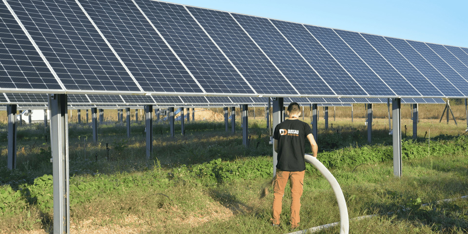 GLHD a ouvert un site pilote dans les Landes pour étudier les conditions de cultures sous les panneaux solaires.