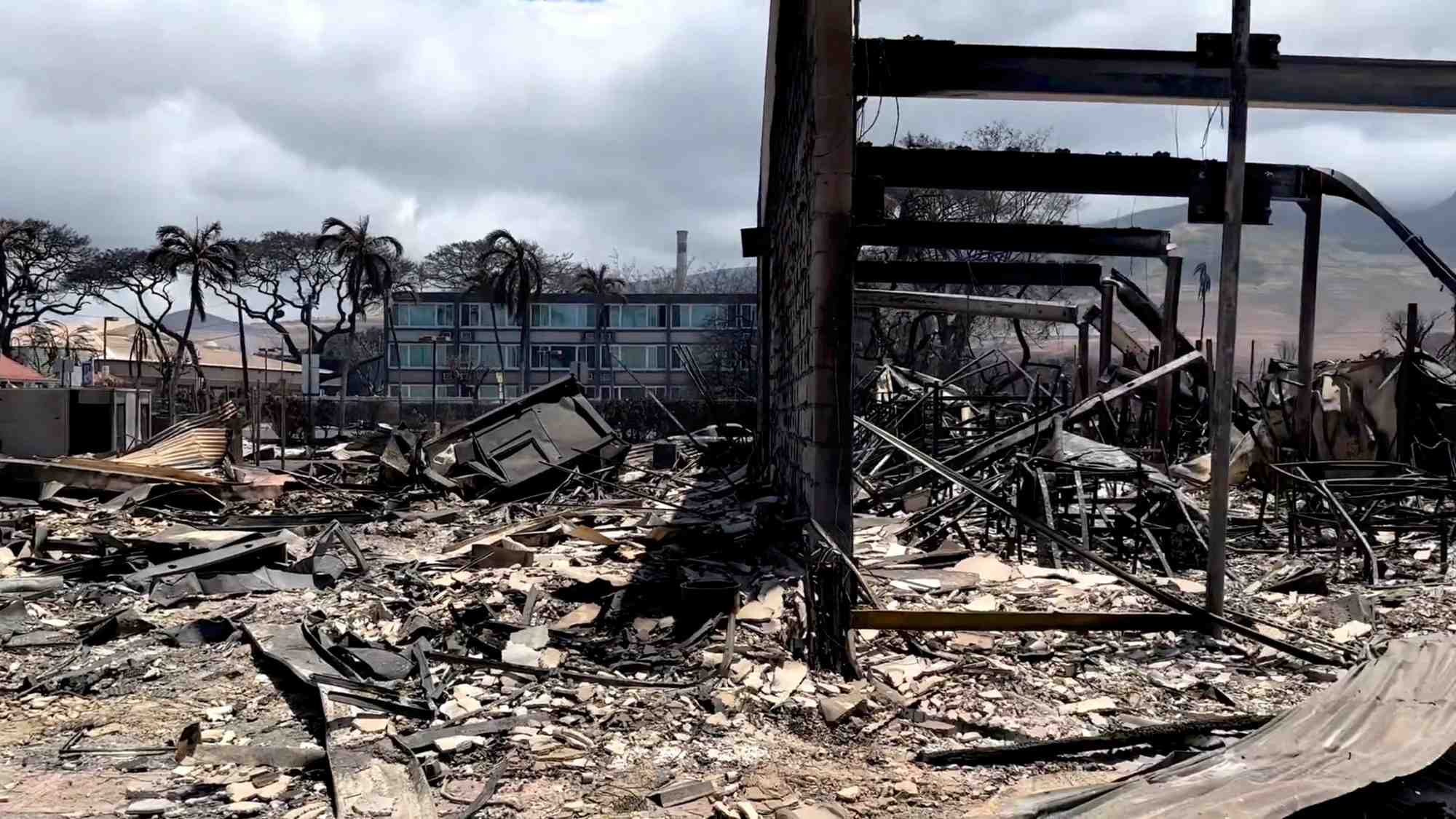Les degats causes par les feux de foret a hawaii