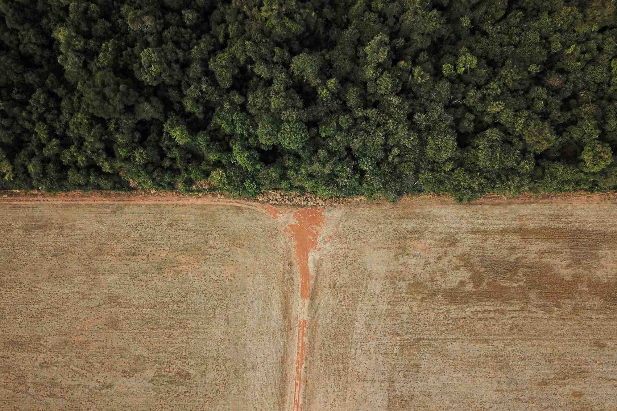Vue aerienne la deforestation a la frontiere entre l'amazonie et le cerrado