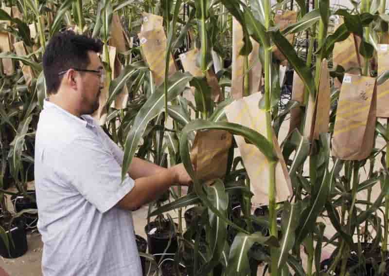 Resultats pour monsanto meilleurs que prevu au 3e trimestre