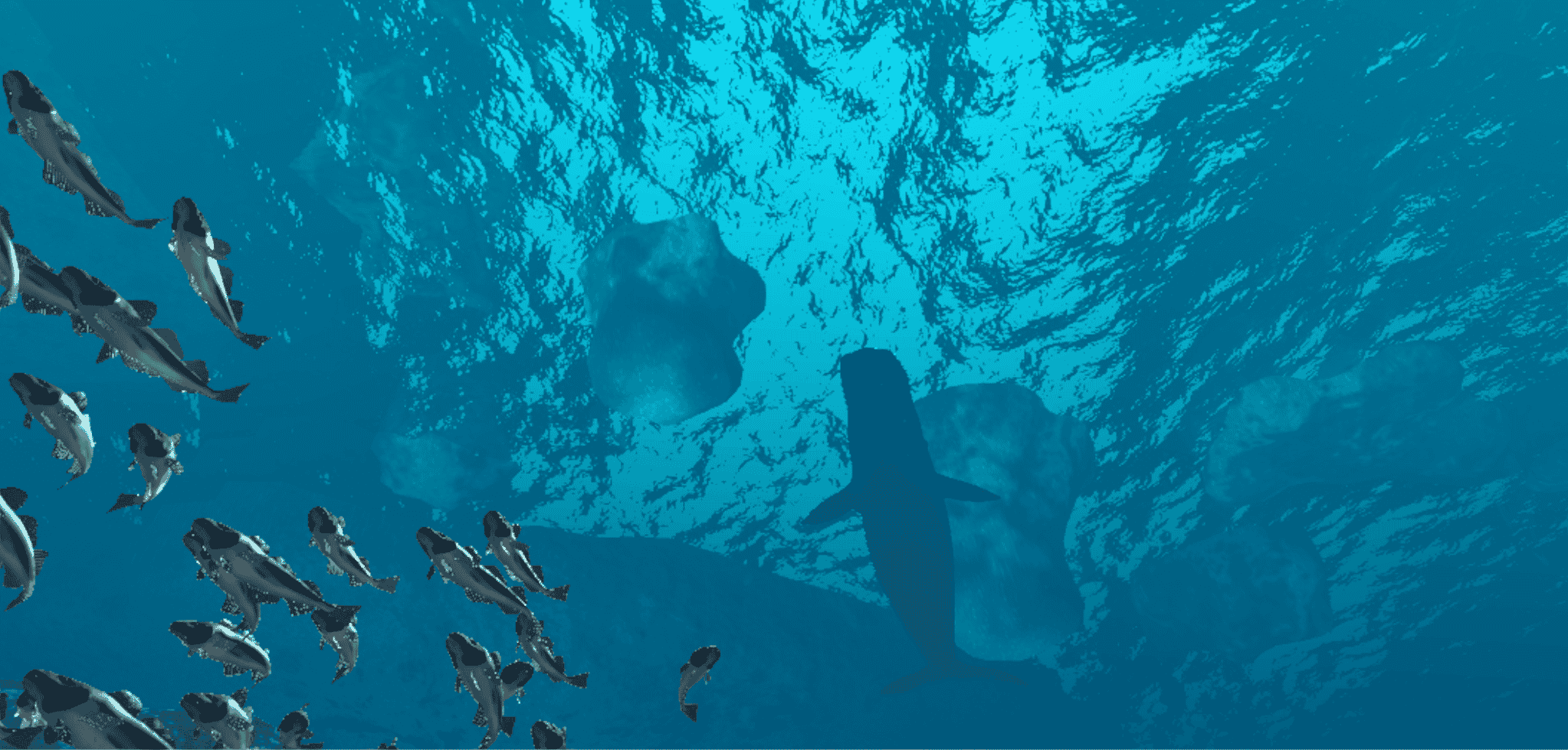 Arctic Virtual Expedition, Océanopolis