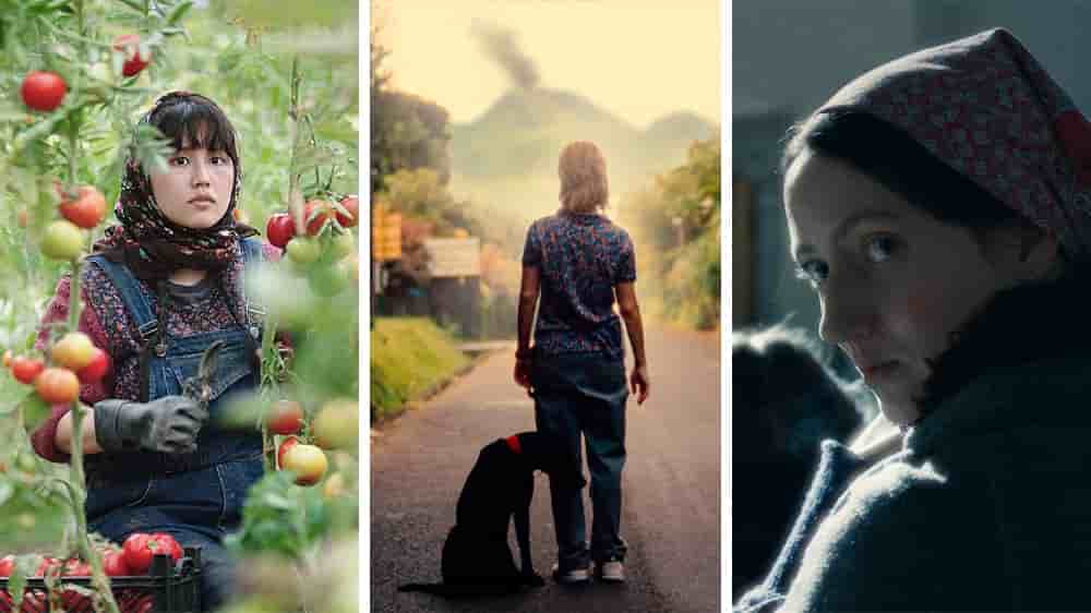 Notre sélection cinéma de la semaine.