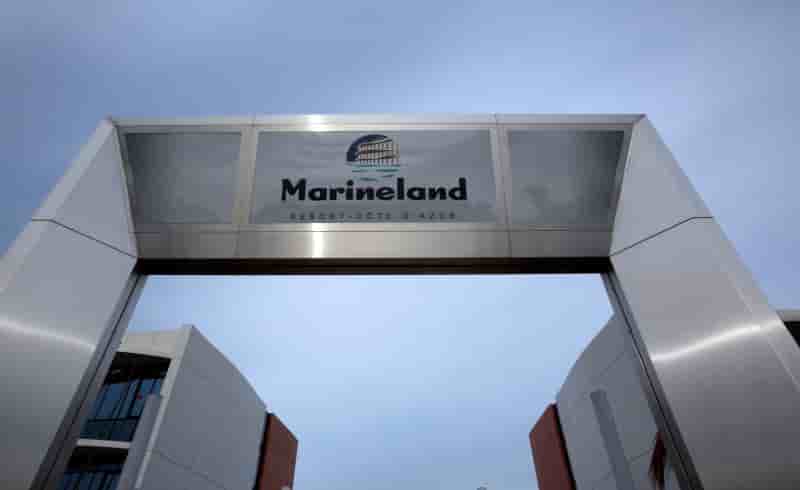 Le parc marineland d'antibes se prepare a rouvrir dans un contexte tendu
