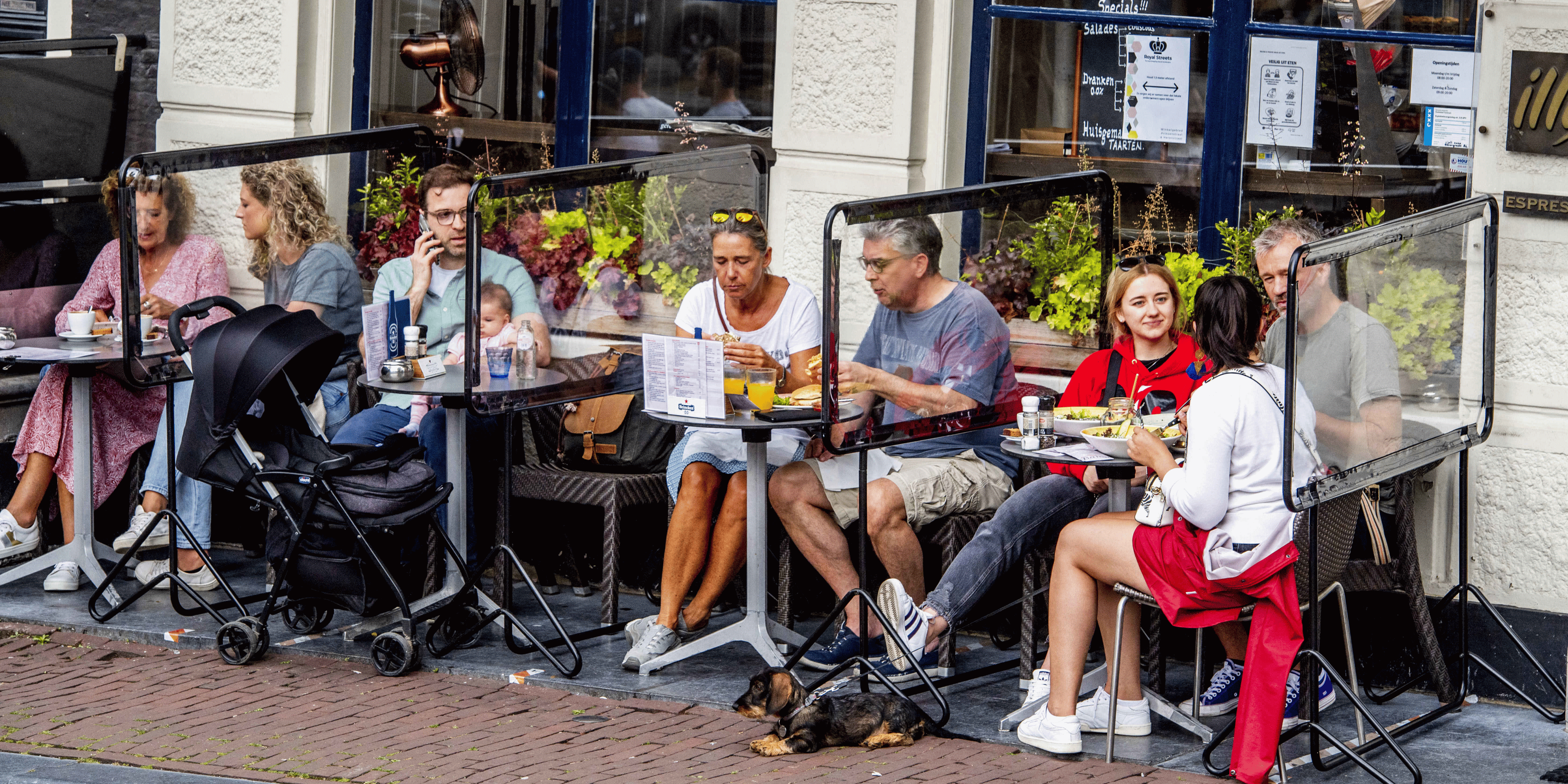 terrasses, Amsterdam, plexiglas, cloisons