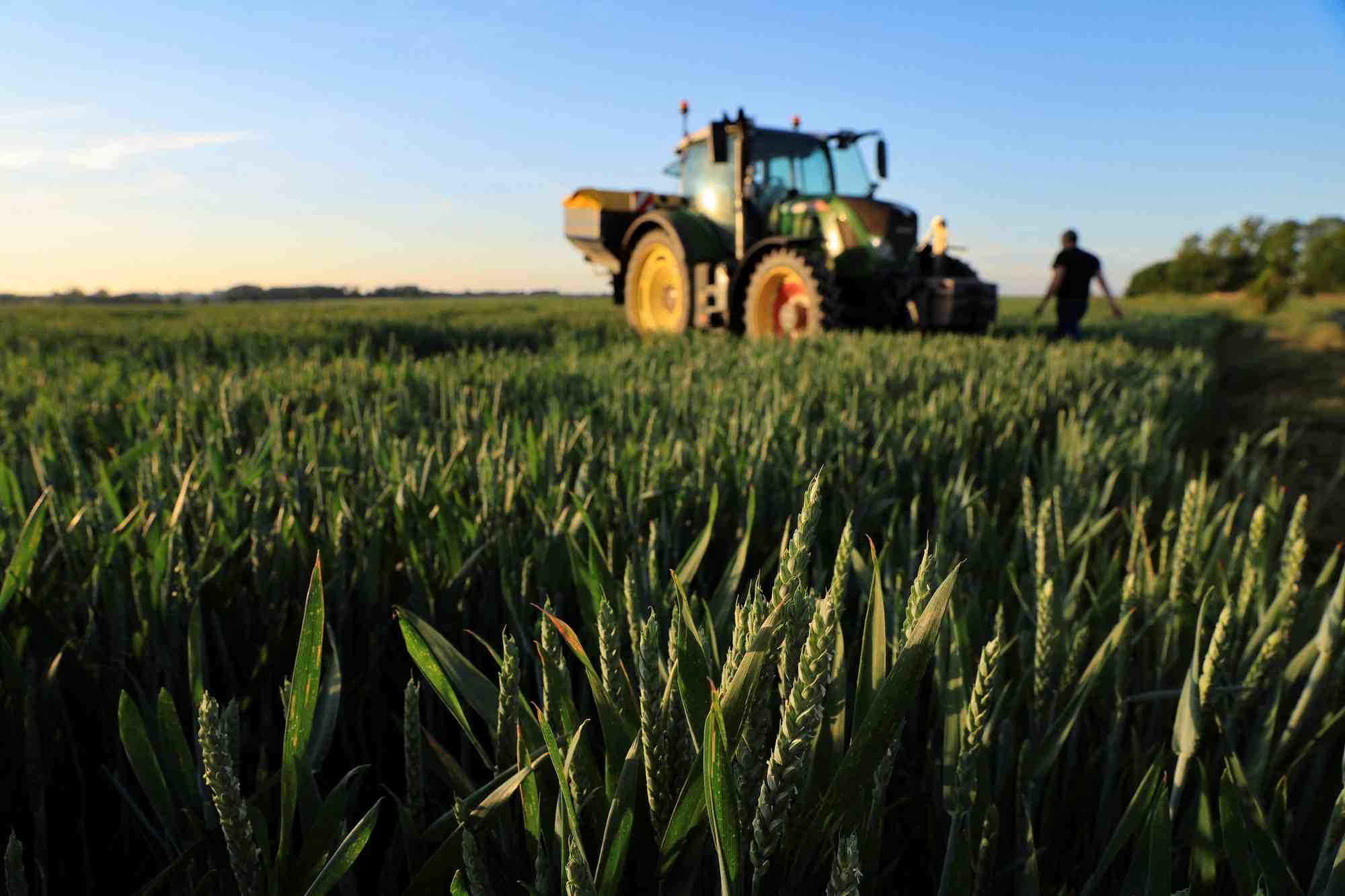 Climat: des investisseurs reclament un plan mondial sur les emissions du secteur agricole