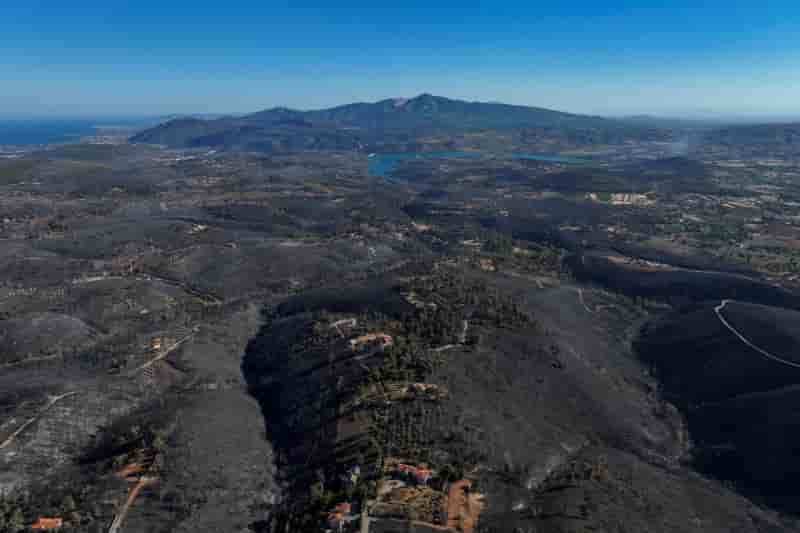 Vue aerienne d'une zone forestiere calcinee suite a un incendie en grece