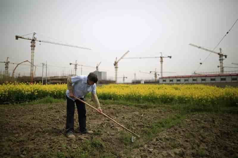 La croissance chinoise tomberait a 6,5% cette annee