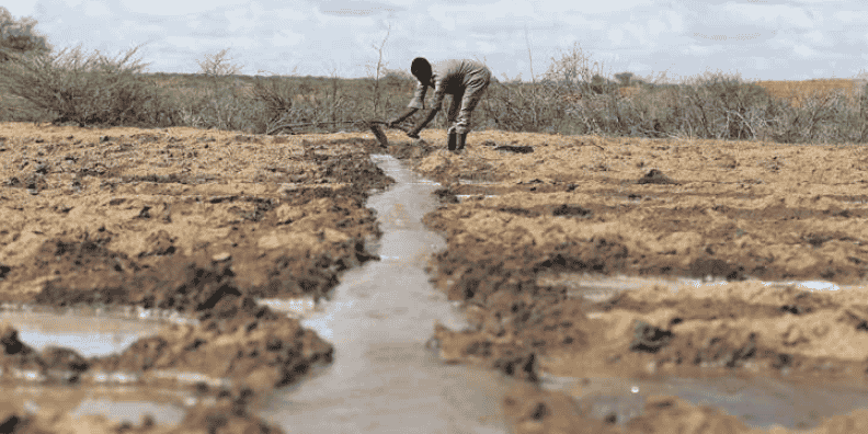 Agriculture terres irrigation labour