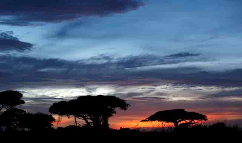 Une celebre protectrice de la nature blessee par balle au kenya