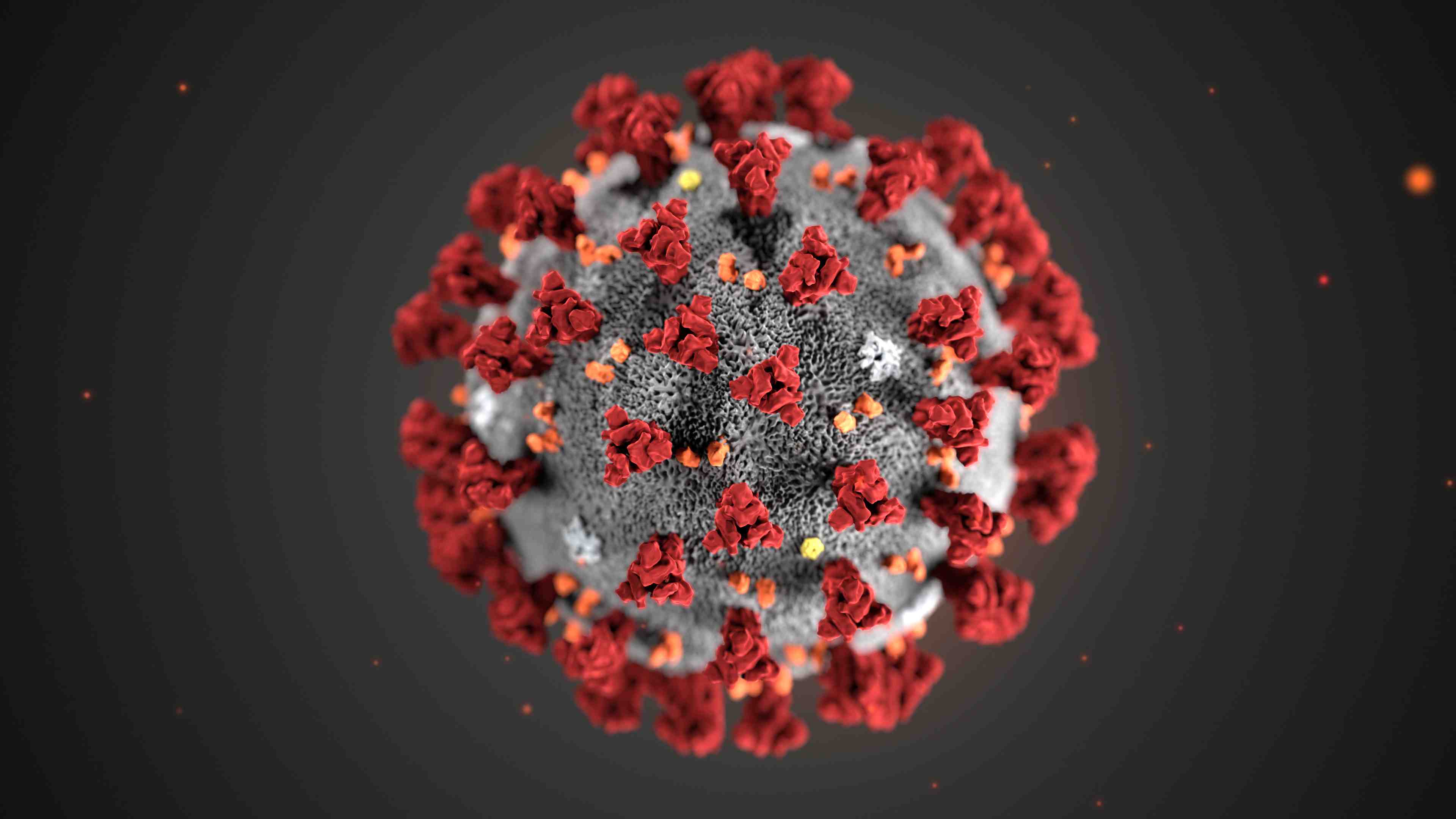 Coronavirus: une souche mutee plus infectieuse pourrait etre moins meurtriere, selon un chercheur singapourien