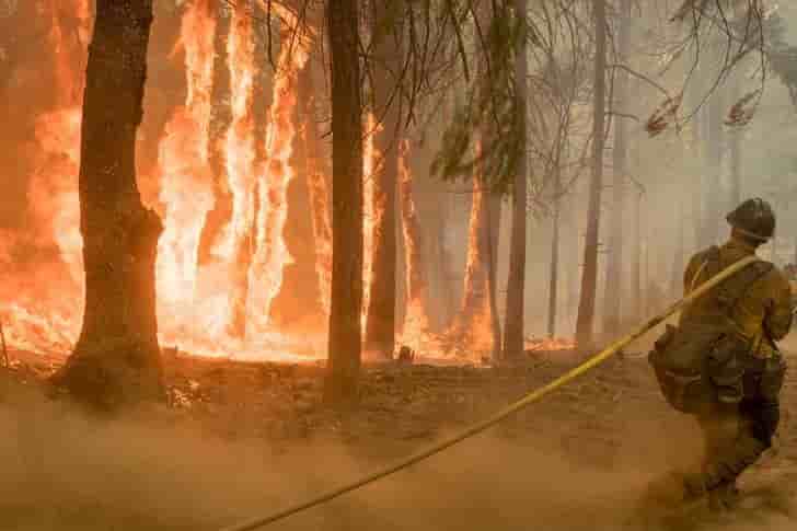 Les pompiers progressent contre les incendies en californie