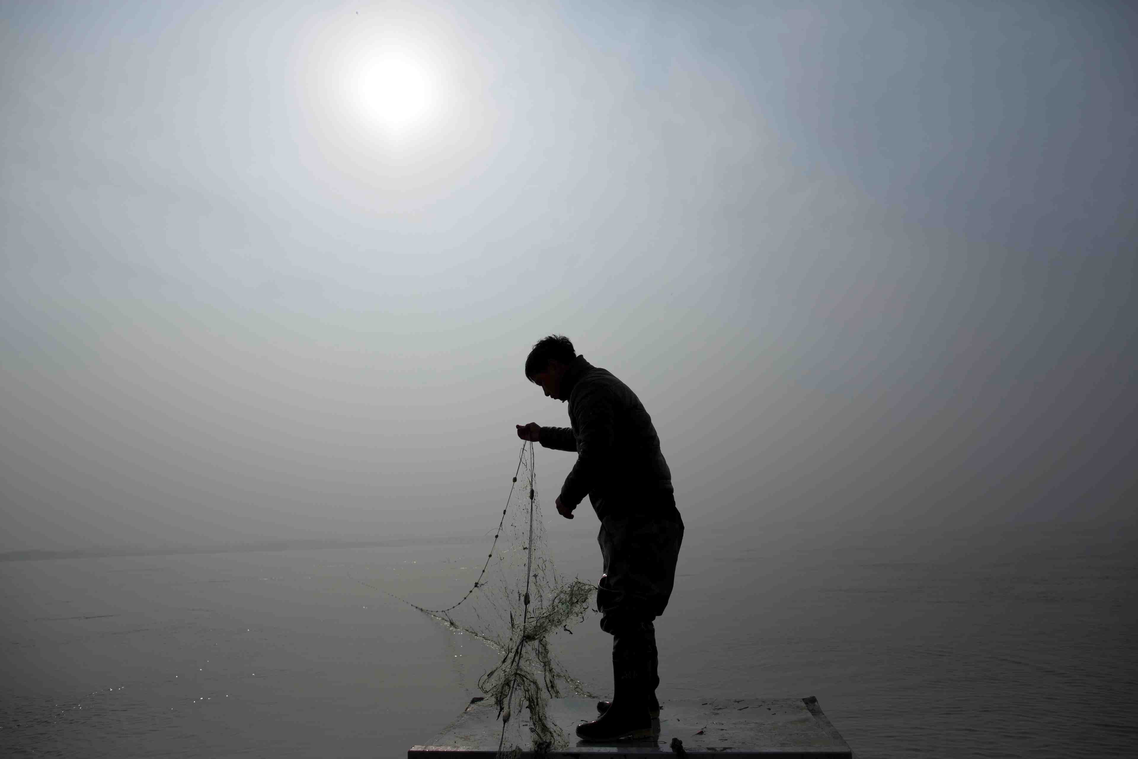 La consommation de poisson grimpe, la surpeche suit le mouvement, selon la fao