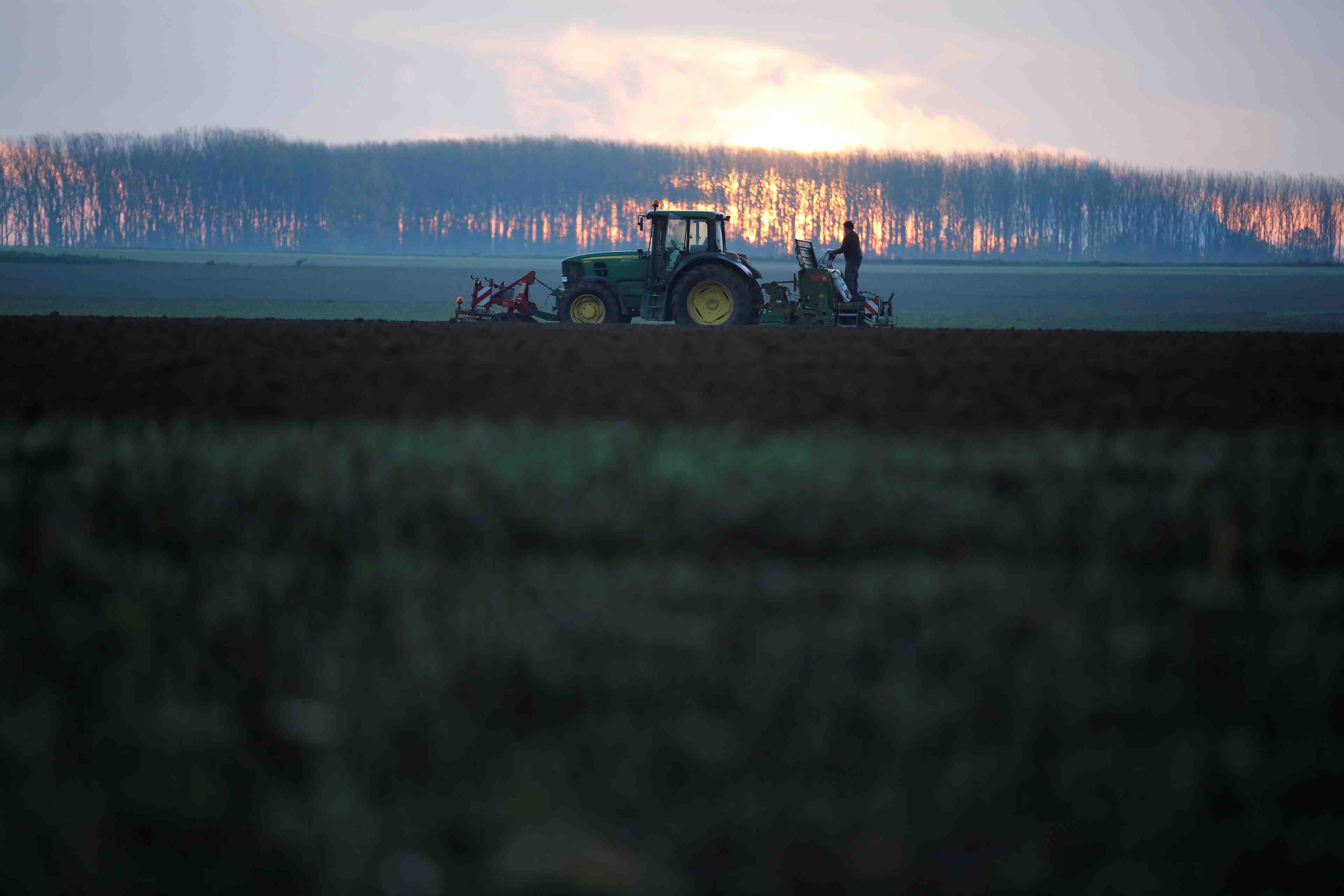 L'ordonnance sur l'alimentation presentee le 12 decembre