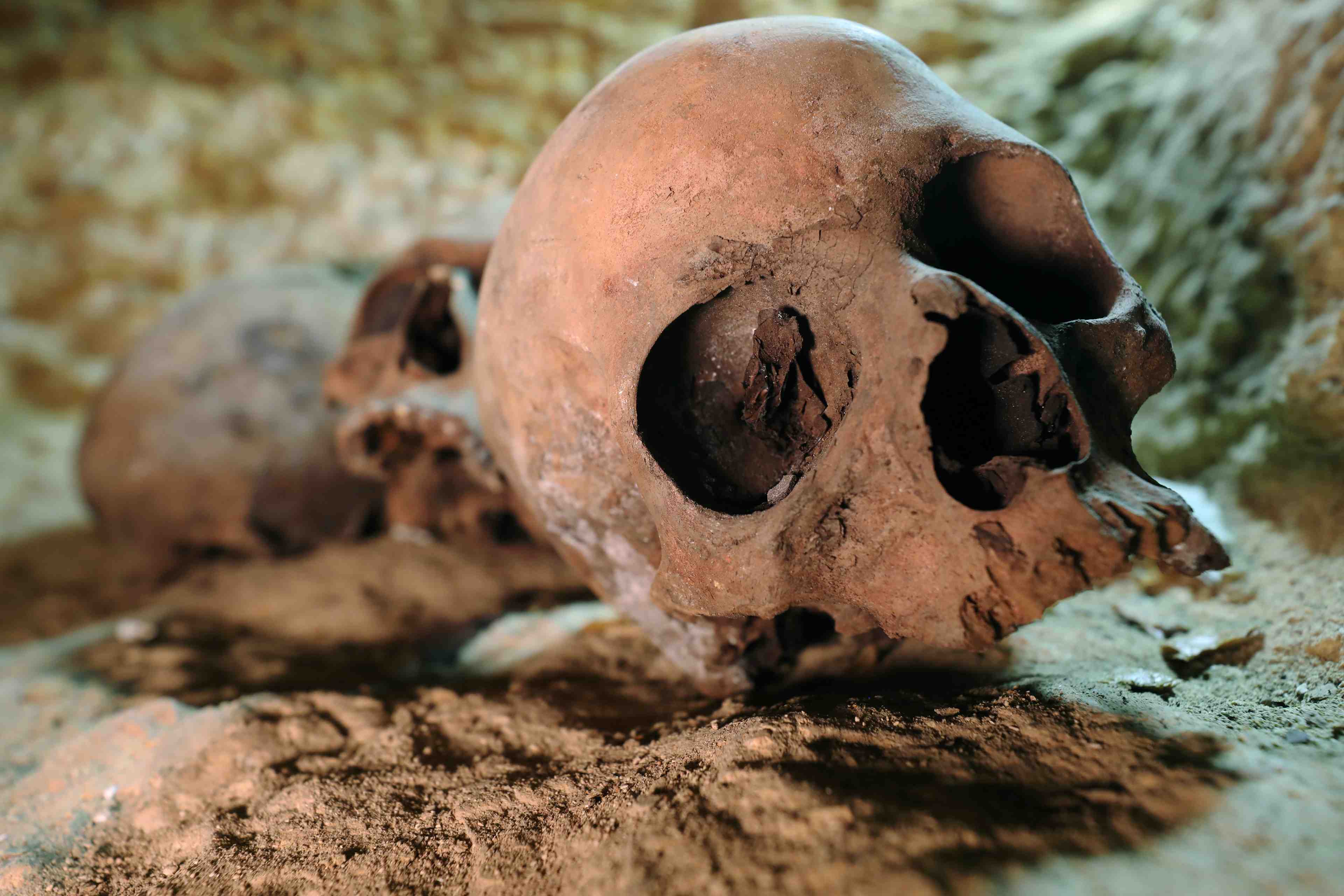 Egypte: decouverte d'une importante necropole au sud du caire