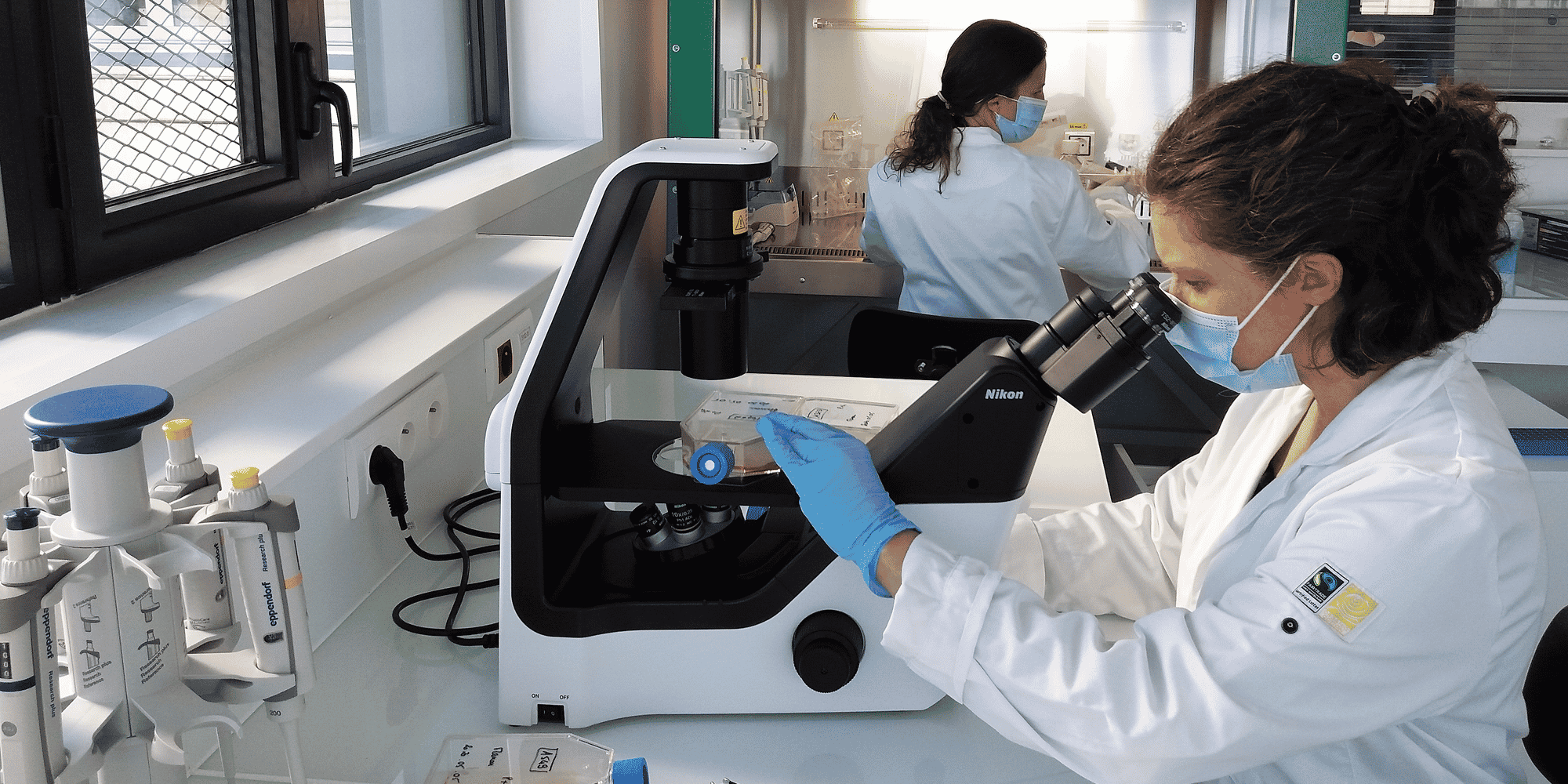 Pour Ose Immunotherapeutics, la stratégie vaccinale passe par les lymphocytes T.