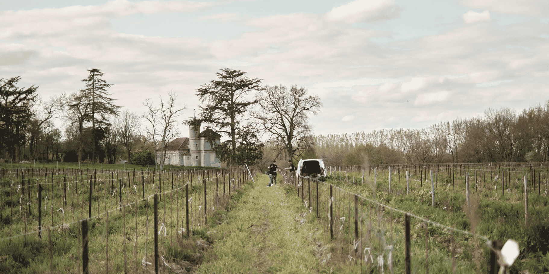 Vignerons de Buzet vigne New Age