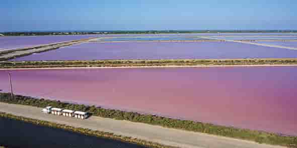 Les Salins du Midi accueille plus de 160 000 visiteurs par an.