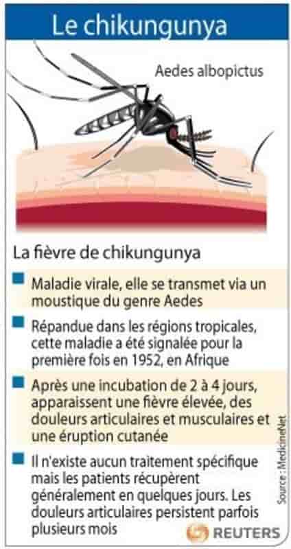 Campagne de prévention aux Antilles contre le chikungunya