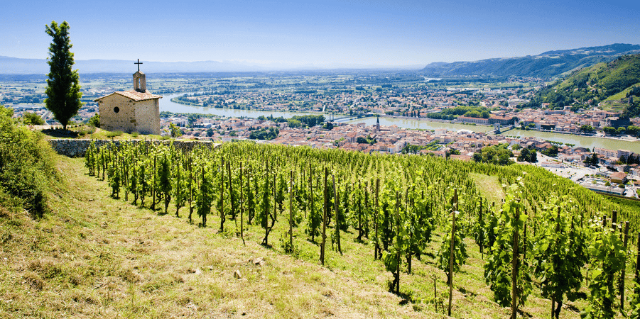 Vignoble de l'Hermitage