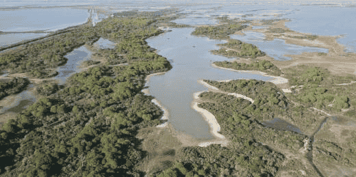 La Camargue