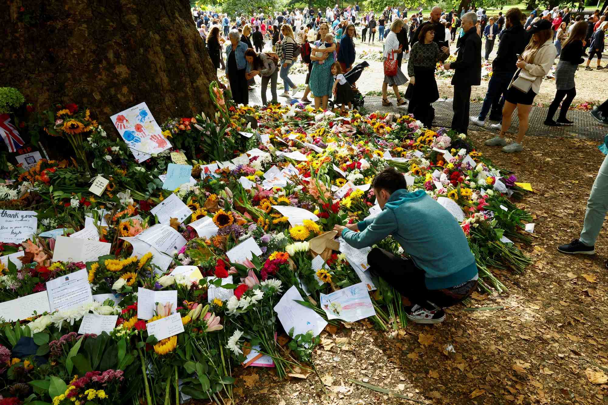 Une personne place des fleurs pres du palais de buckingham a londres suite au deces de la reine elizabeth ii
