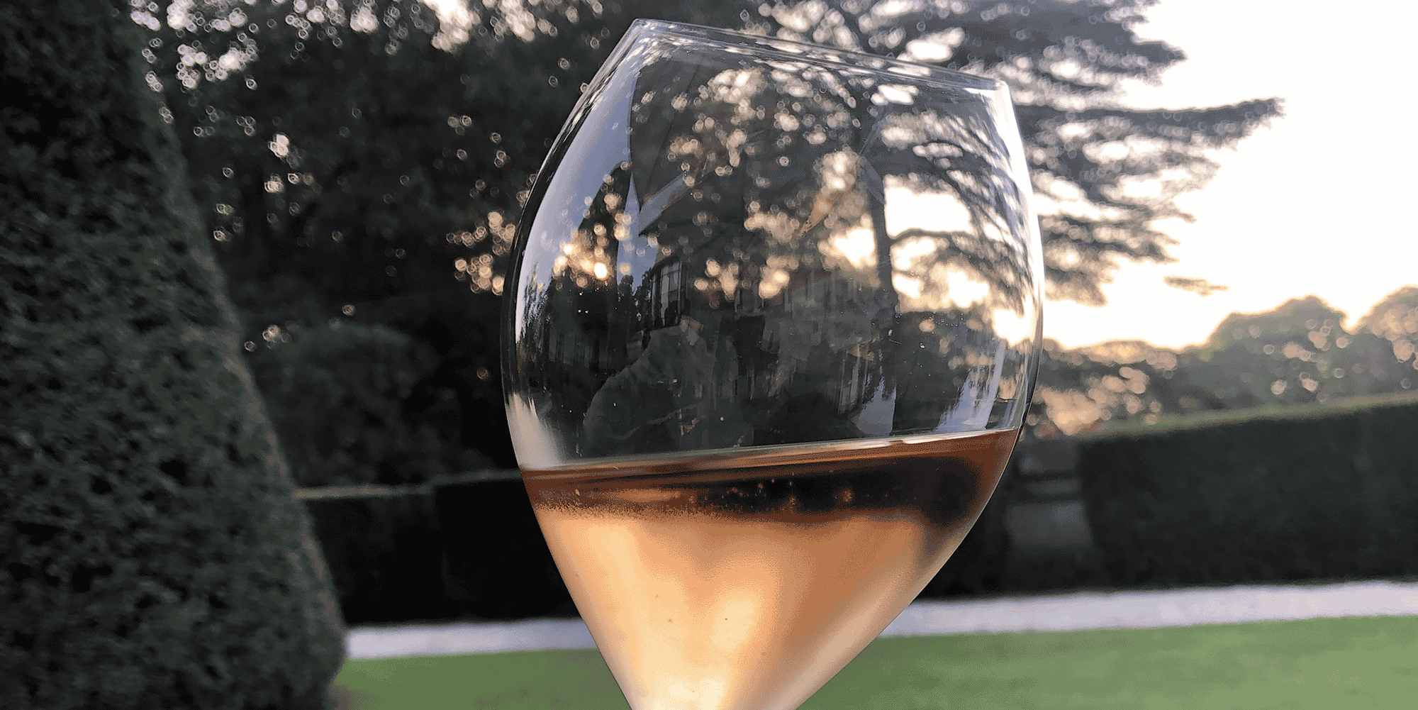 Champagne Rosé