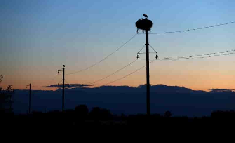 Investissements: l'electricite devant le petrole et le gaz