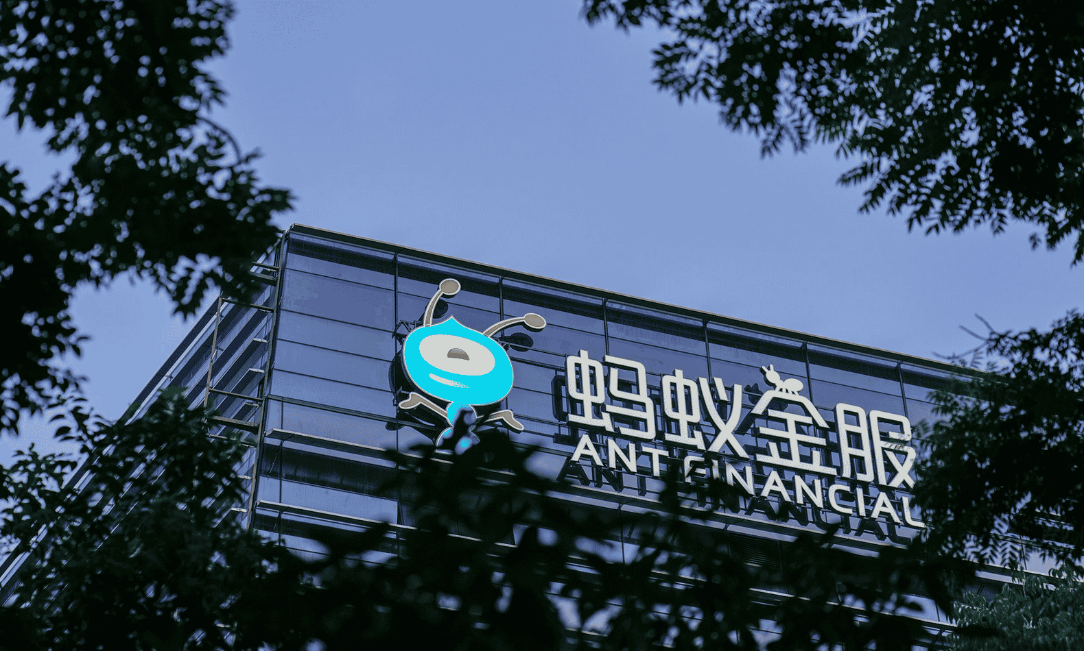 Ant Financial Alipay Alibaba