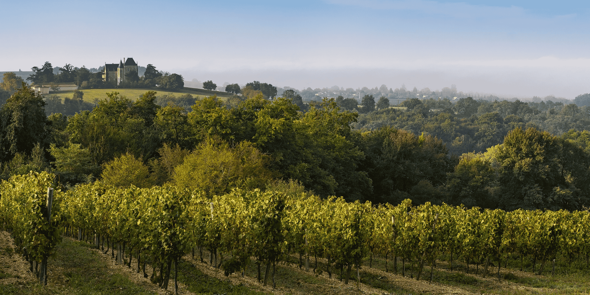 Vignoble Cadillac Côtes de Bordeaux