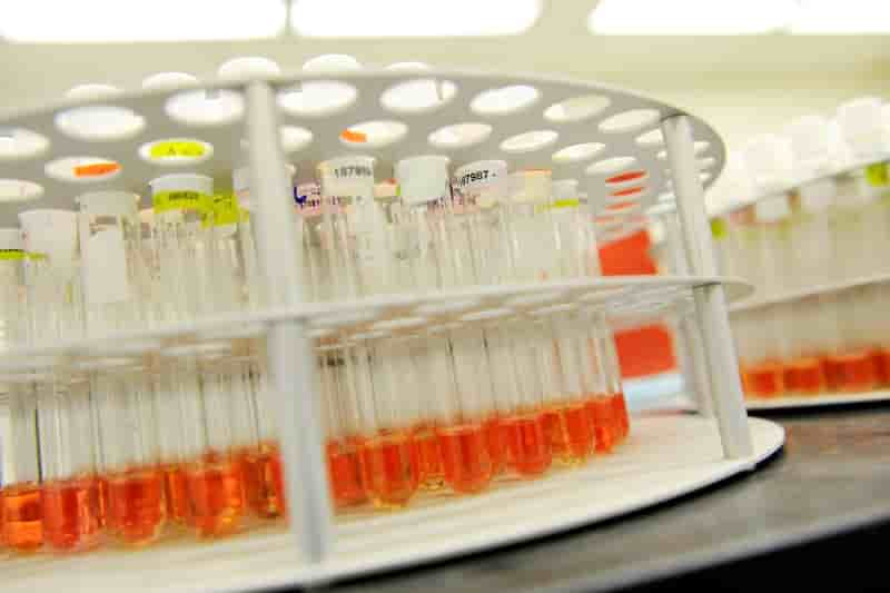 Transgene obtient de nouvelles sources de financements pour de nouvelles etudes