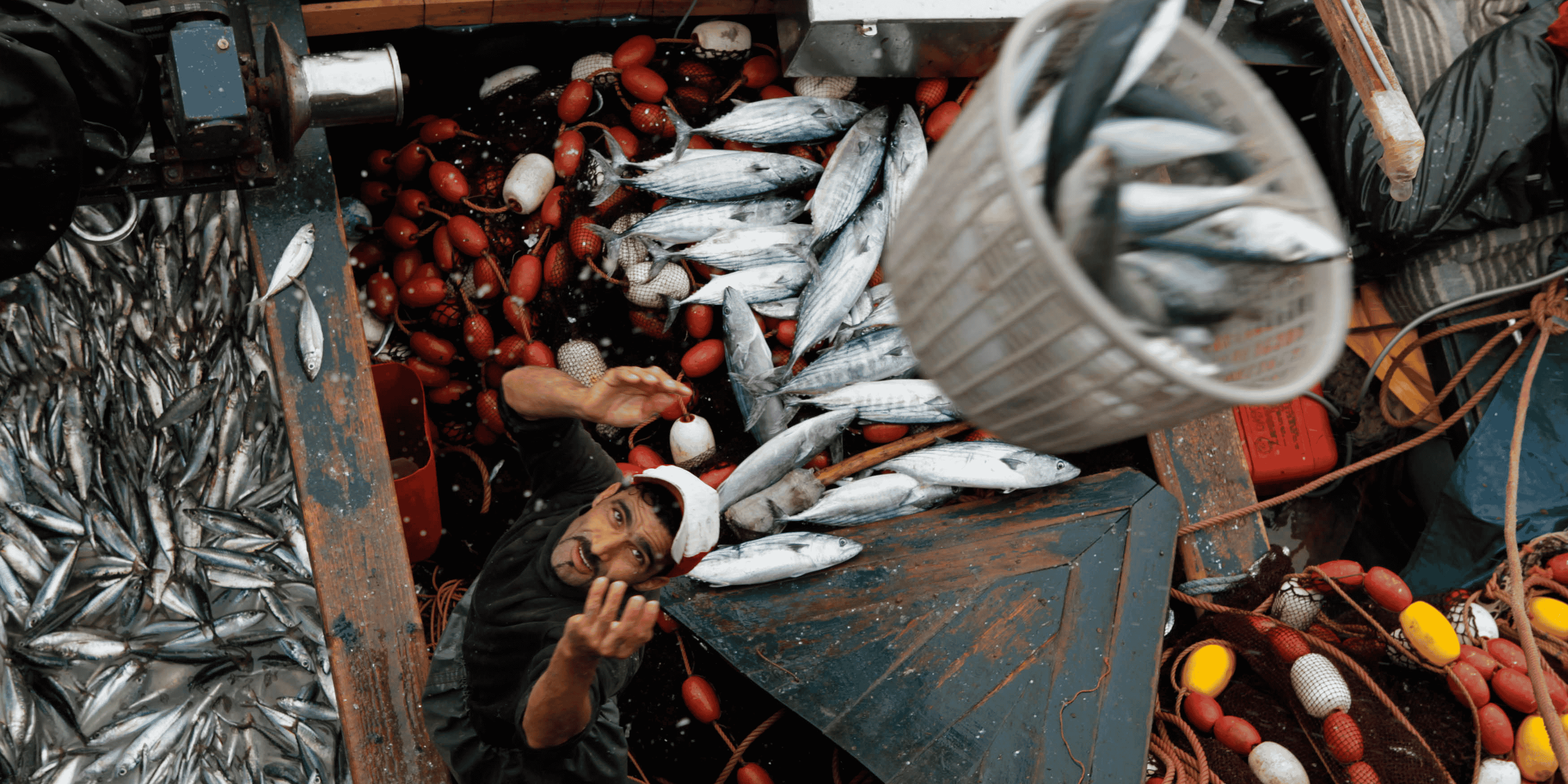 Pêche
