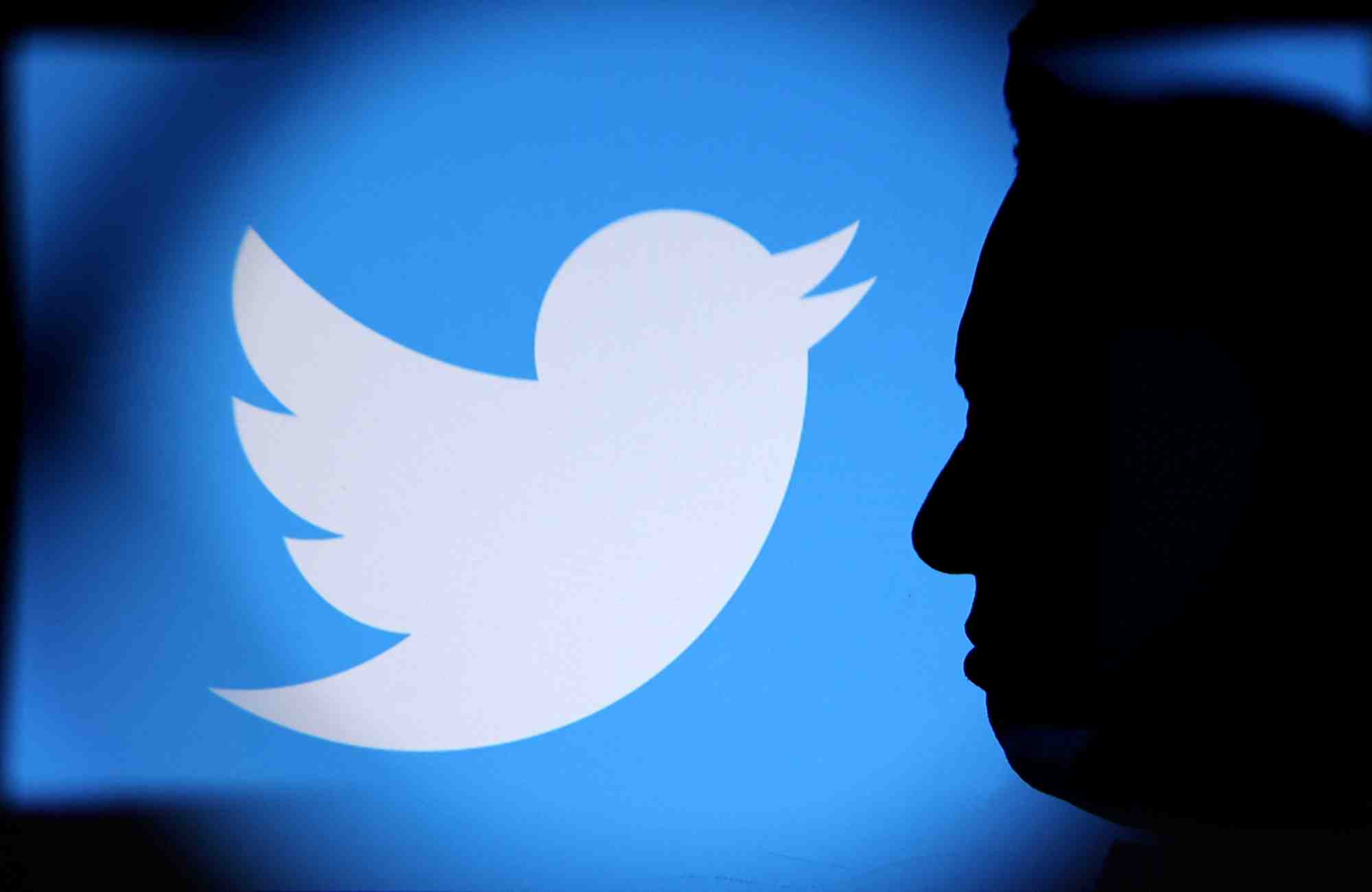 Elon musk et le logo de twitter a la loupe