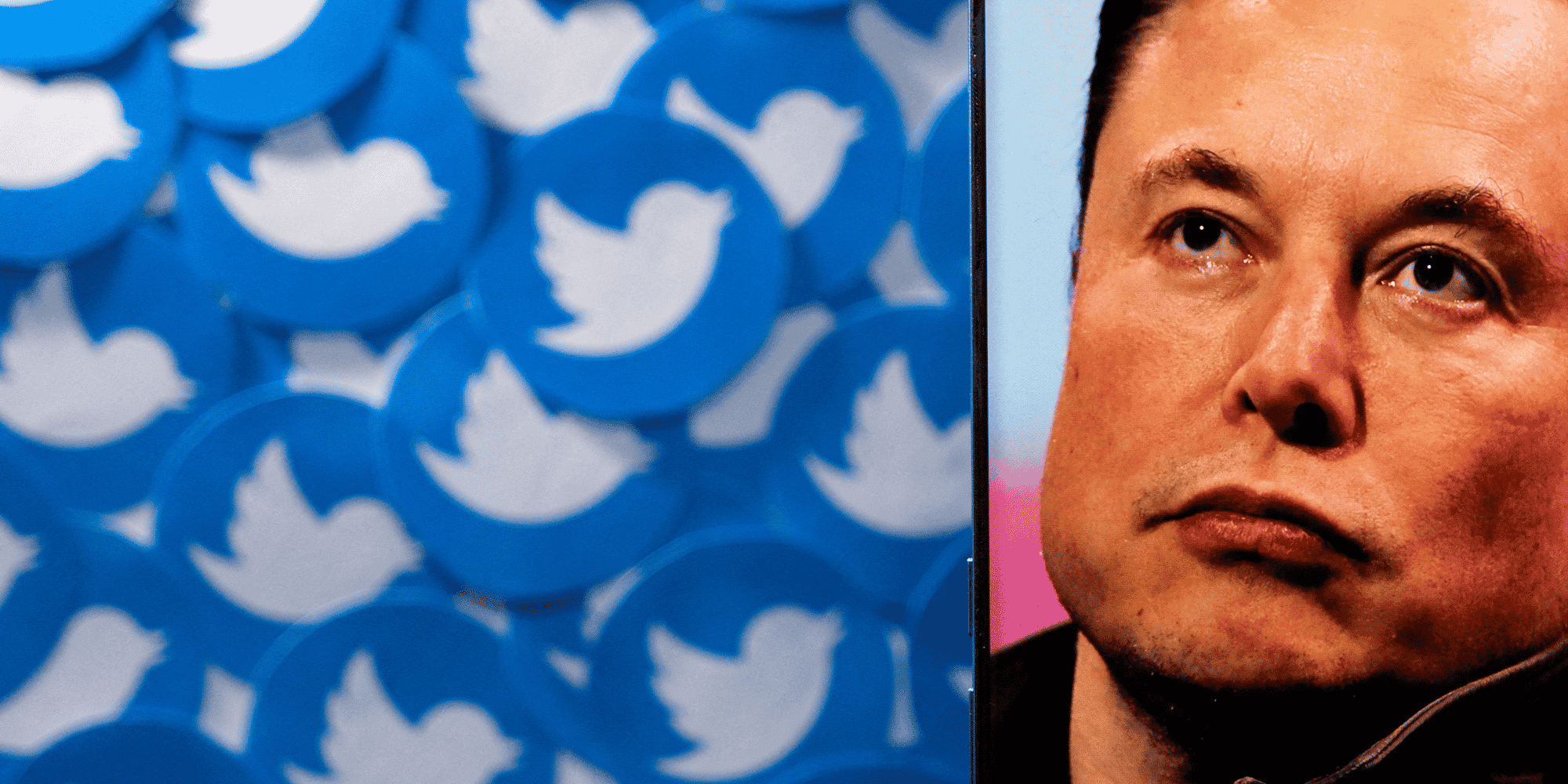 Selon musk, une baisse du prix d'achat de twitter pourrait se justifier