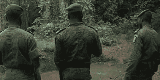 sodefor cote d'ivoire