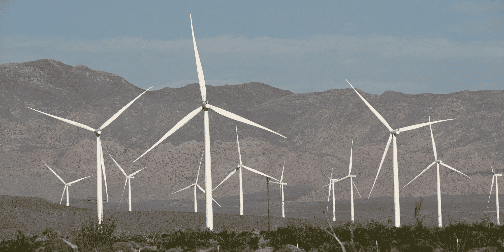 La croissance mondiale de l'energie eolienne et solaire en bonne voie pour atteindre les objectifs climatiques