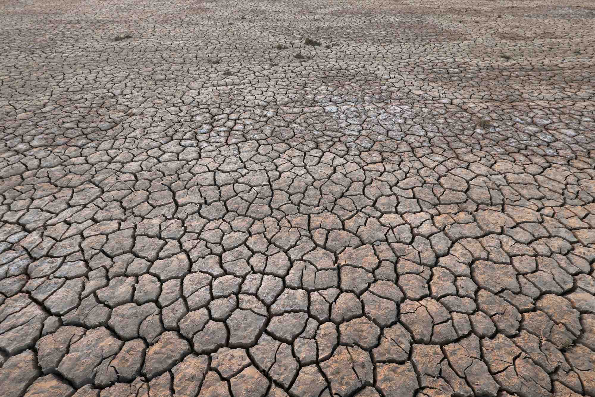 Des residus de sel sont visibles sur les terres agricoles arides de la province d’al-muthanna, en irak
