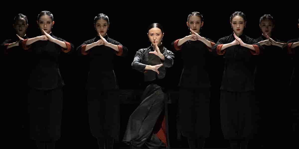 Le spectacle rend hommage à Ip Man, médecin des pauvres, justicier des bas quartiers et maître de kung-fu.