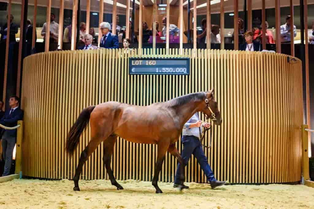Deauville est la troisième place de marché mondiale pour la vente de jeunes pur-sang, les yearlings, derrière les places américaines et britanniques.