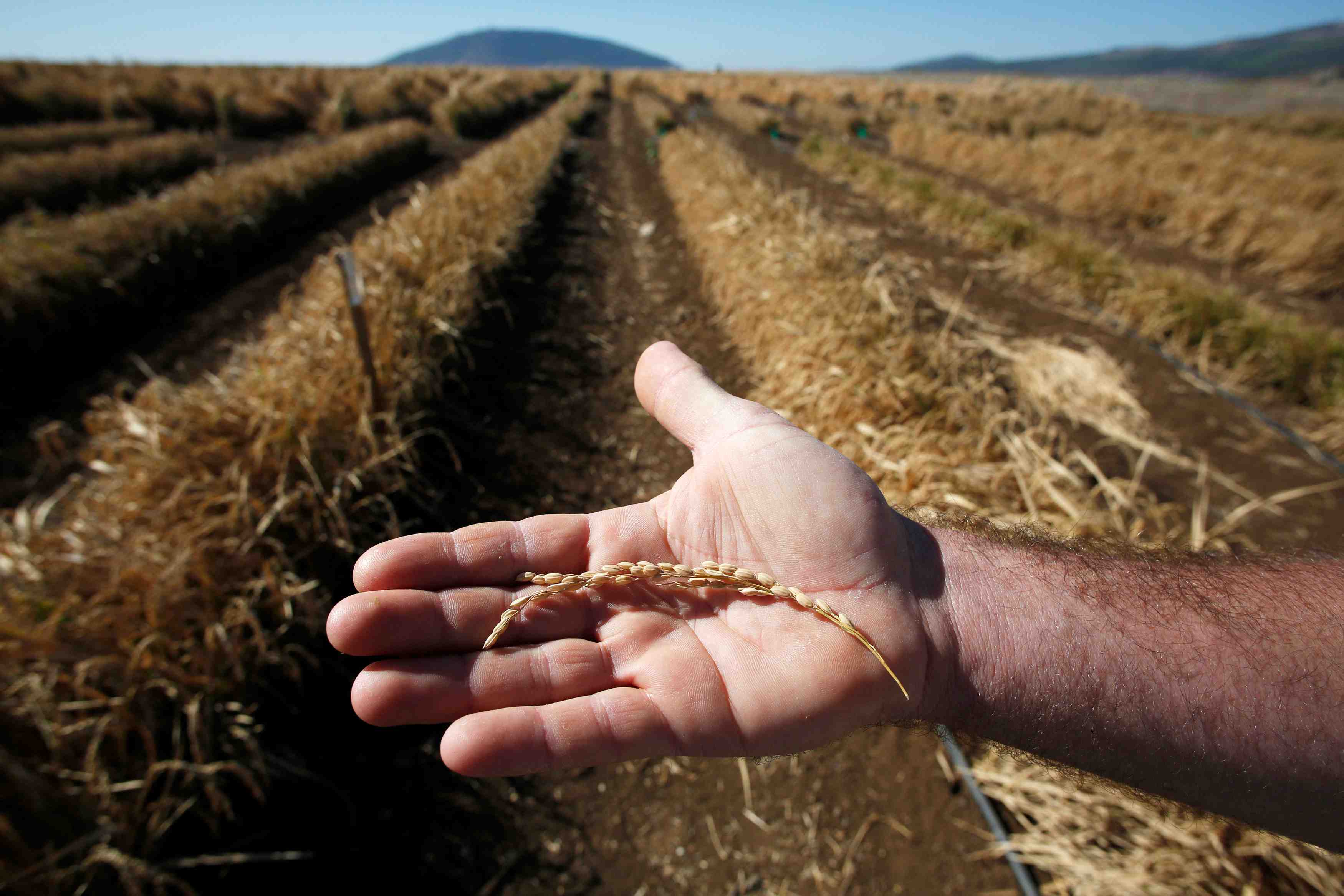 Depot de bilan symbolique de fermiers bio en attente d'aides