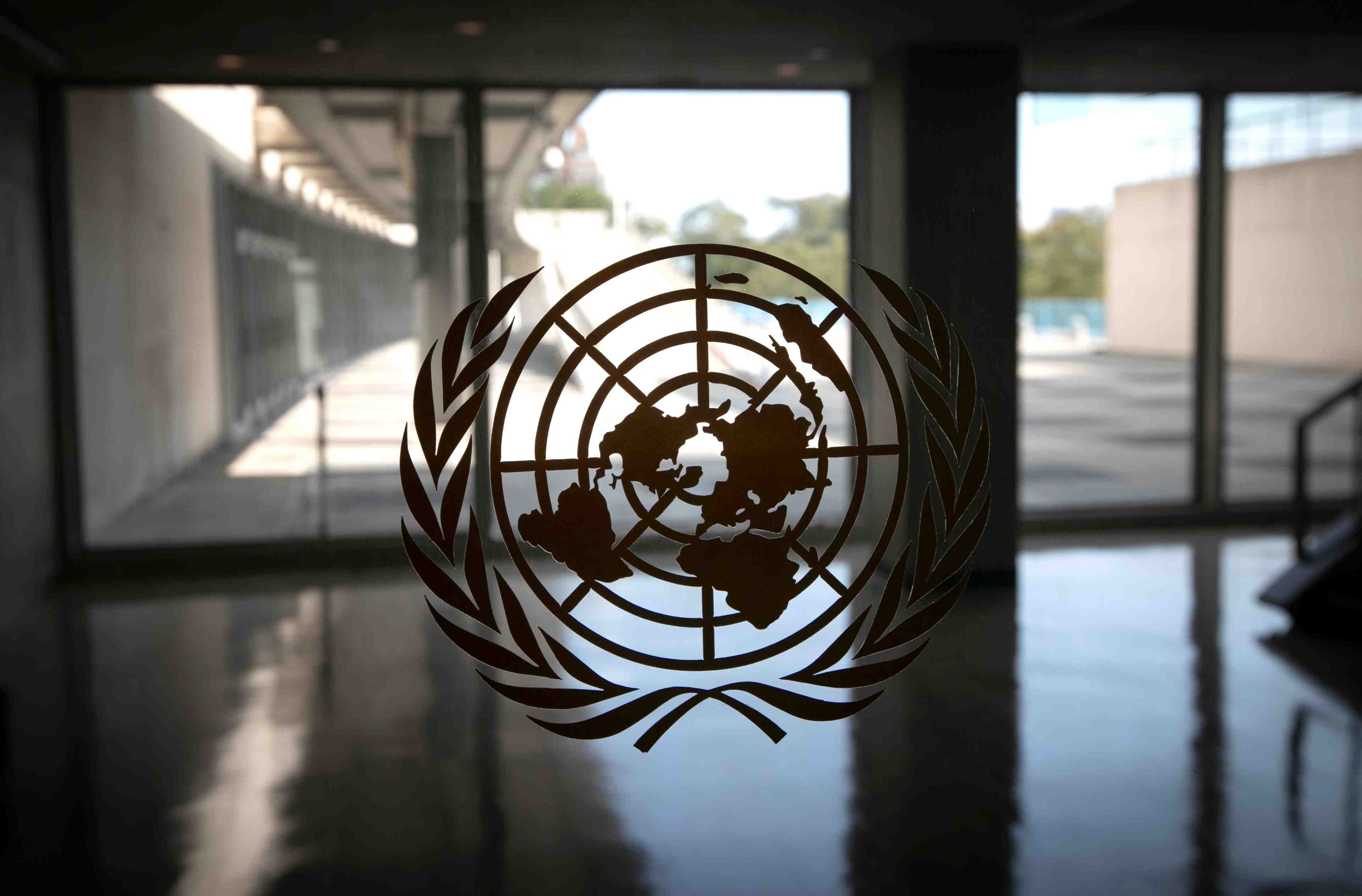 Des expertes de l’onu mettent en cause la russie pour la tentative d'assassinat de navalny