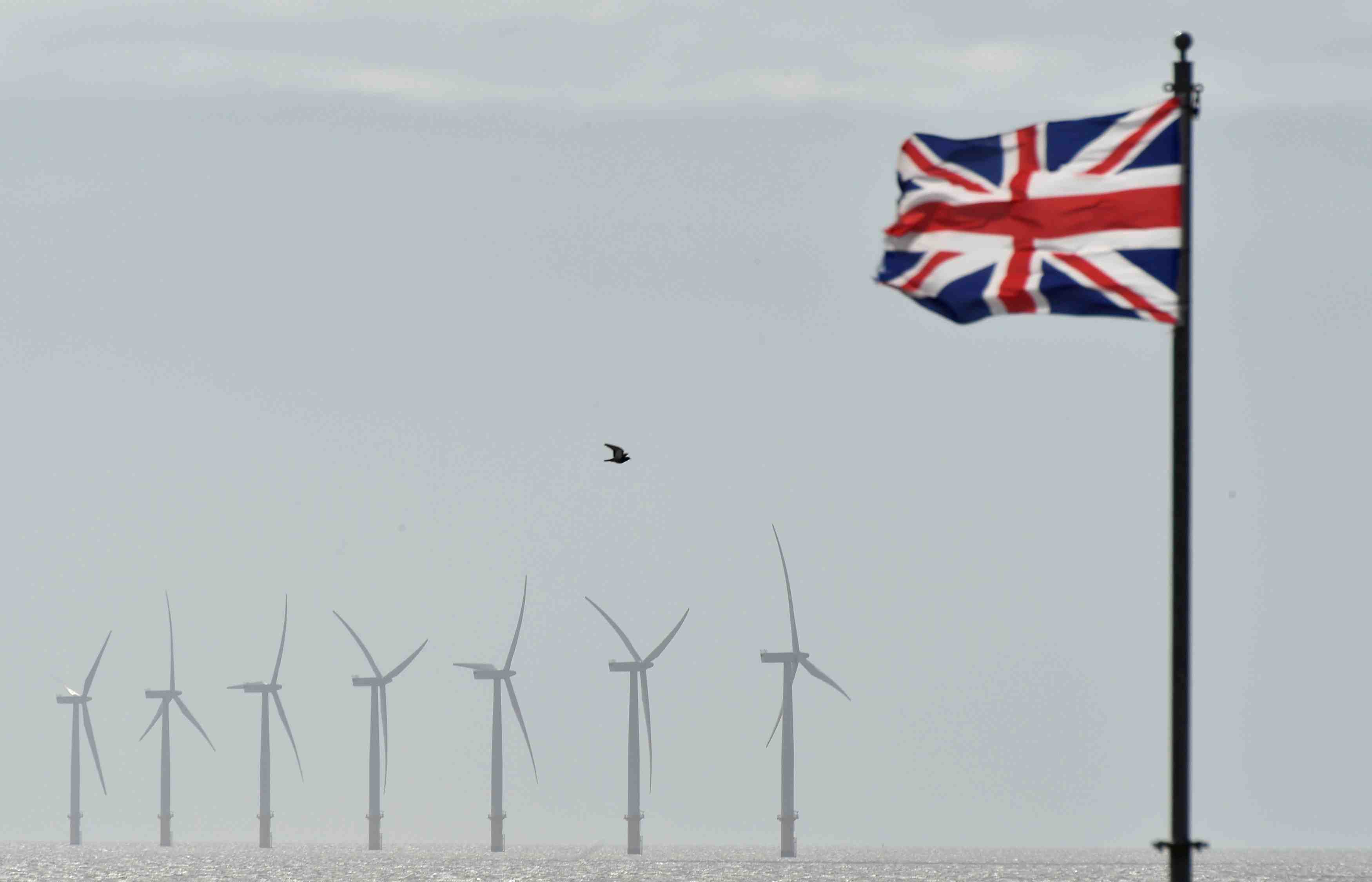 Brexit: londres annule le contrat d'une compagnie de ferry