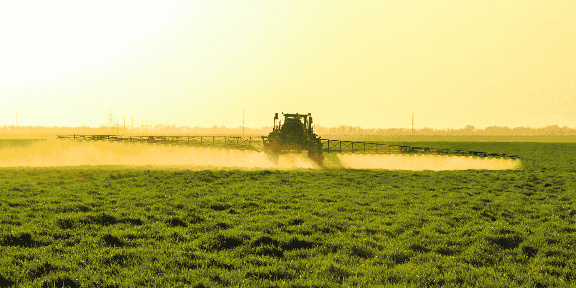 Aux Etats-Unis, le glyphosate de Bayer-Monsanto est visé par plus de 13.000 plaintes, une quarantaine d'ONG européennes réclament son interdiction, et la France voudrait s'en passer d'ici trois ans.