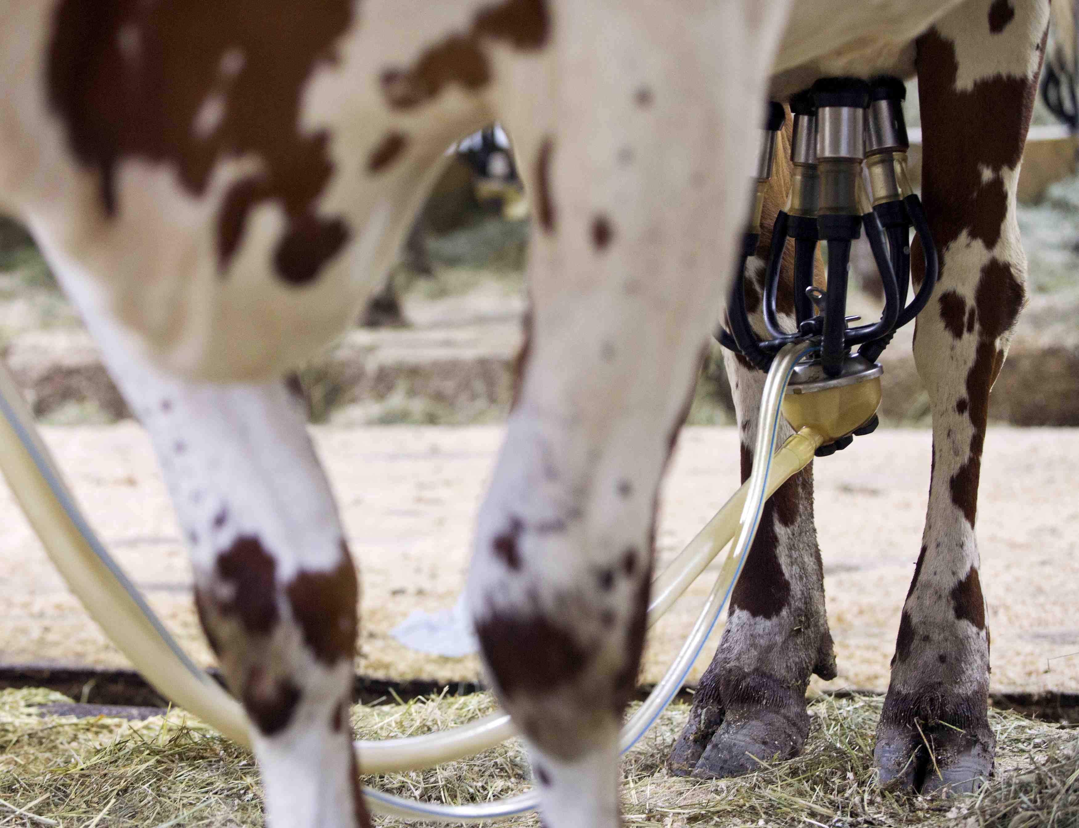Les prix alimentaires mondiaux baissent encore