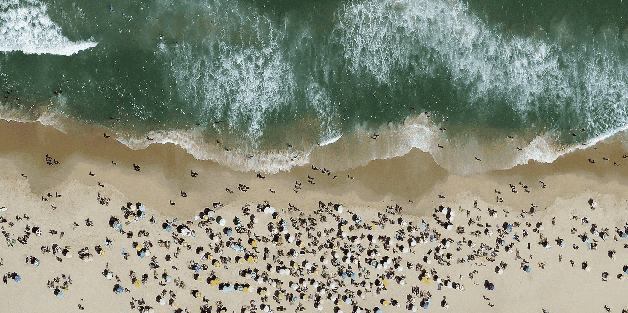 Les plages de sable occupent plus d'un tiers des littoraux au niveau mondial et se situent souvent dans des régions très peuplées.