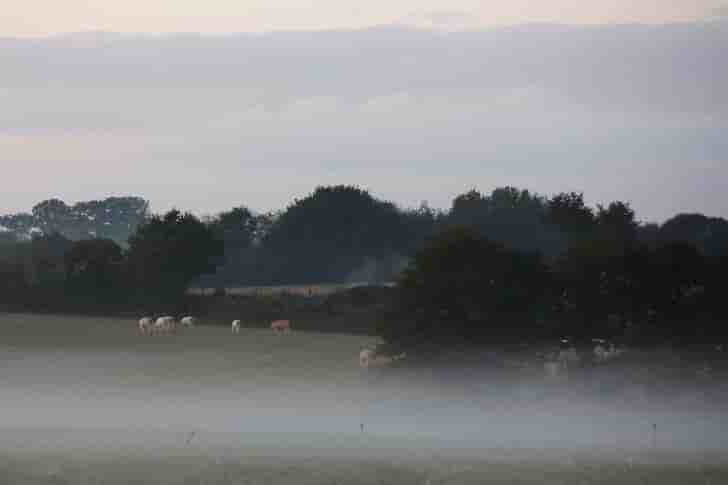 Possible coup d'arret judiciaire pour notre-dame-des-landes