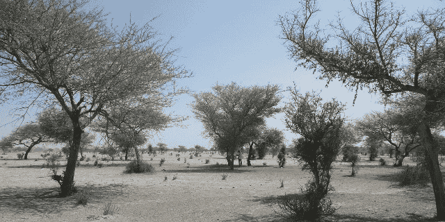 Sahara Sahel climat sécheresse