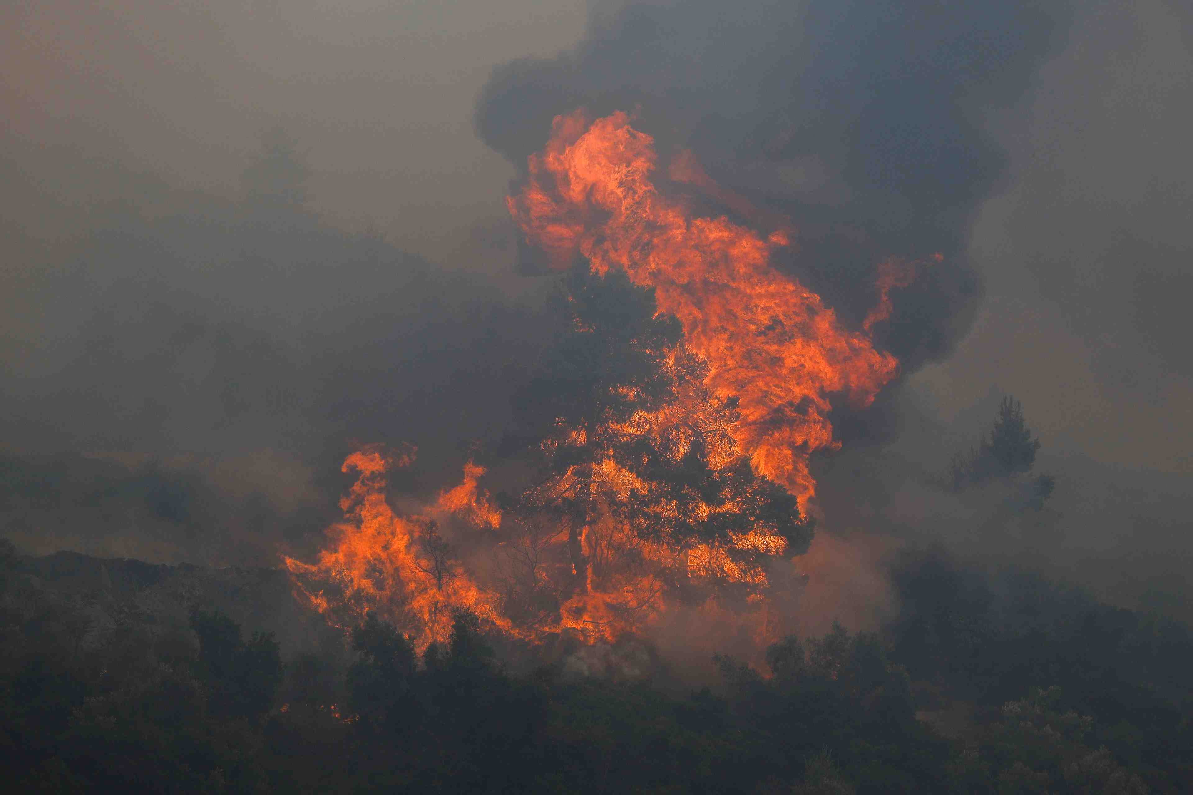 Grece: des milliers de personnes fuient les incendies, la canicule perdure