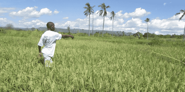 tanzanie fermier agriculture foncier