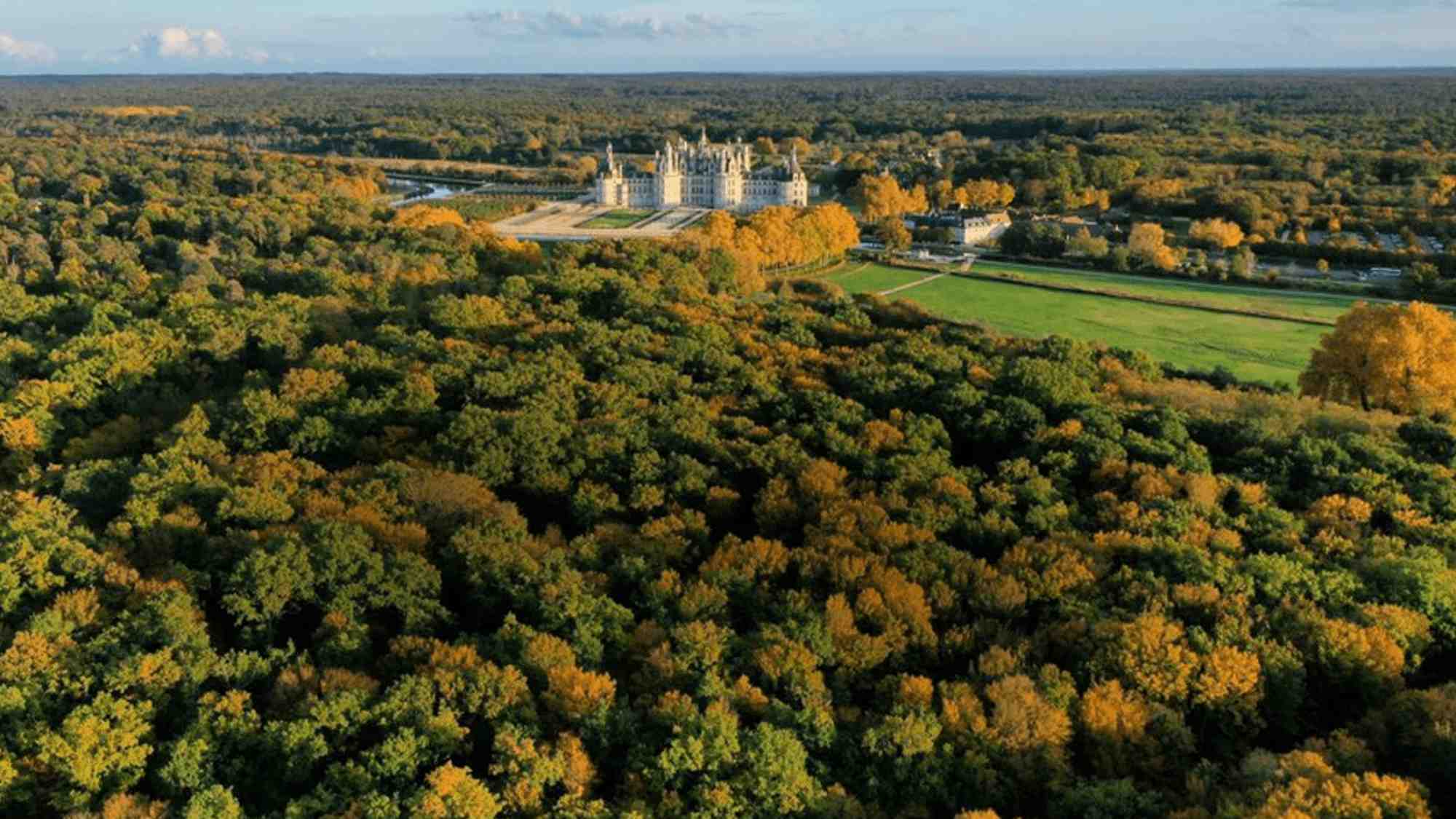 chambord belle forêt