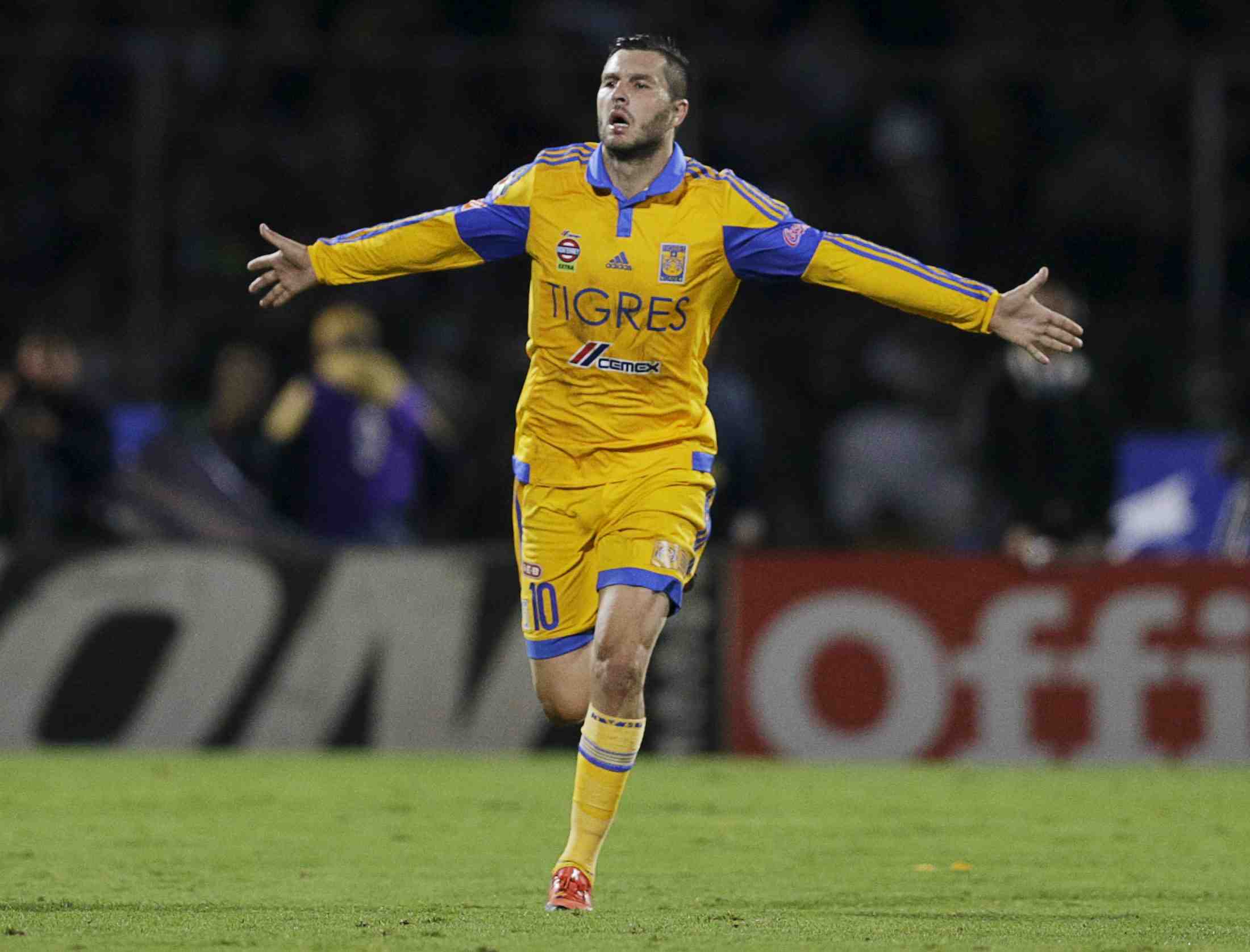 Les tigres et andre-pierre gignac champions du mexique